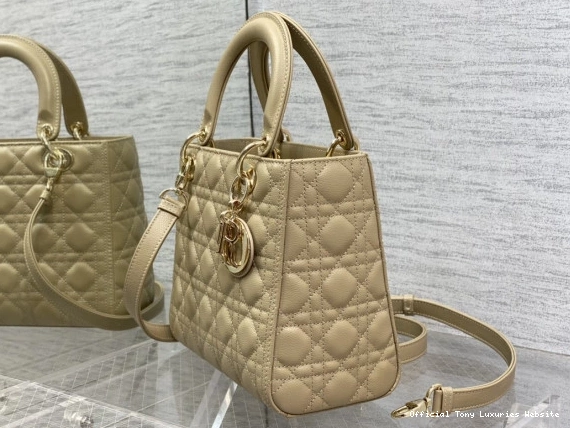 Tony Luxuries Gold Lady Calfskin-24cm diro large 0803
